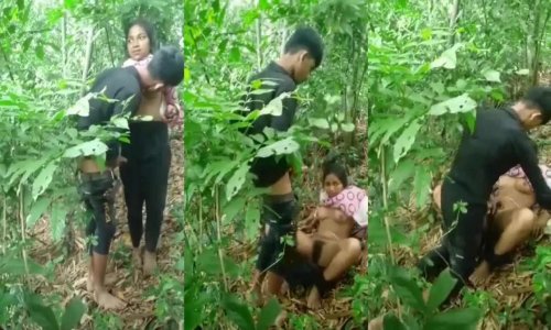 Indian College Couple Having Sex In The Jungle