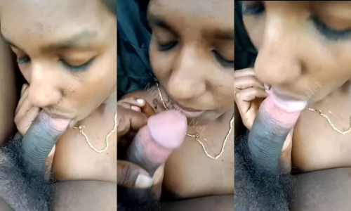 Mallu Girl Outdoor Sucking Boyfriend Dick